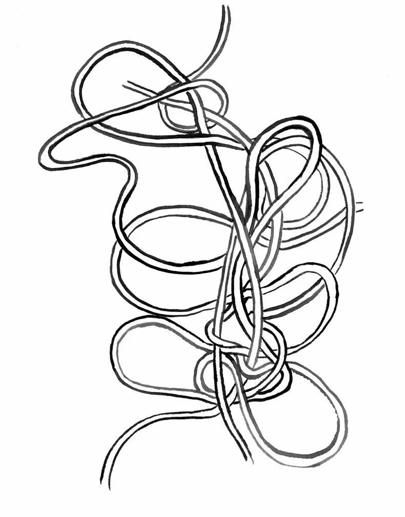 Dessin de Naomi Del Vecchio publié dans l'ouvrage